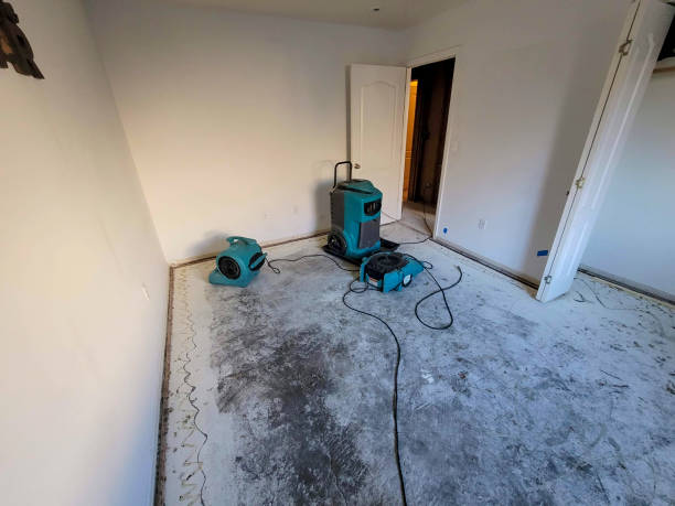 Best Carpet water damage restoration  in Perry, OH