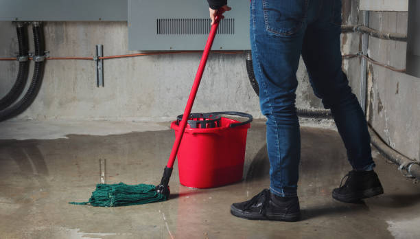 Best Residential water damage restoration  in Perry, OH