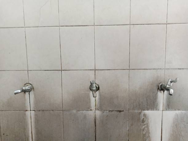 Best Flood restoration services  in Perry, OH