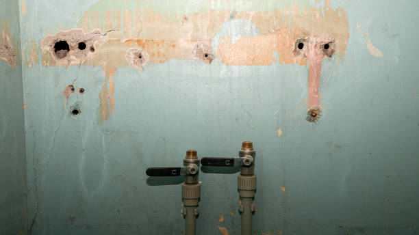 Best Water damage cleanup near me  in Perry, OH