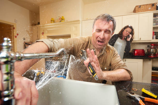 Best Local water damage restoration  in Perry, OH